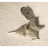 GRIPEN Saab JAS 39 na pins złoty (id: 119)
