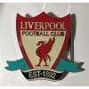 Klamra sportowa Liverp... (id: 3255)