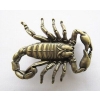 Skorpion brązowy klamra 3D (id: 2716)