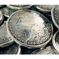 Dolar 1881 concho, odznaka na śrubkę (id: 759)